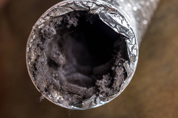 Best Affordable Duct Cleaning Services  in Bowie, MD