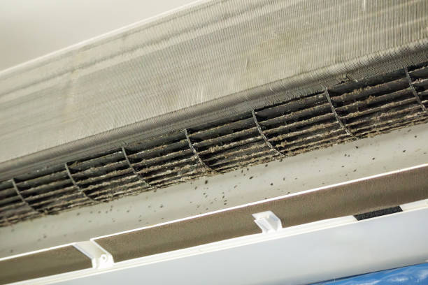 Best Affordable HVAC Duct Cleaning  in Bowie, MD
